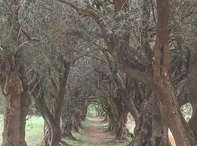 Medulas Appartement Covas (Pontevedra)