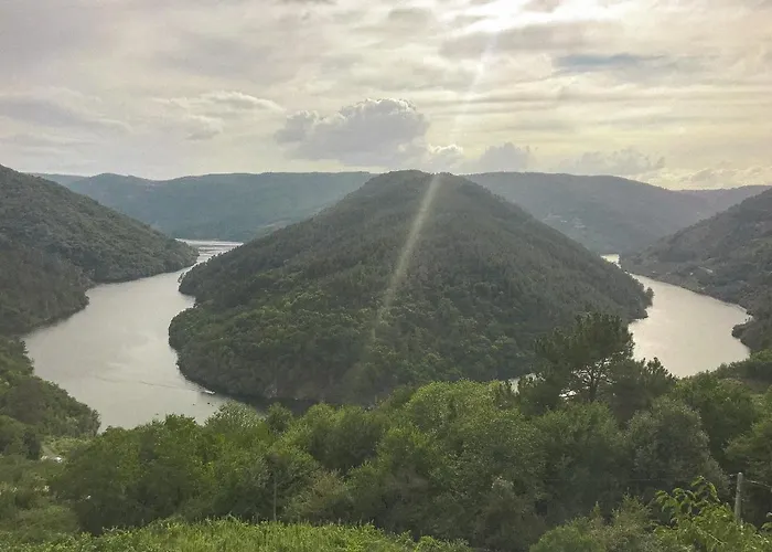 Apartament Medulas *