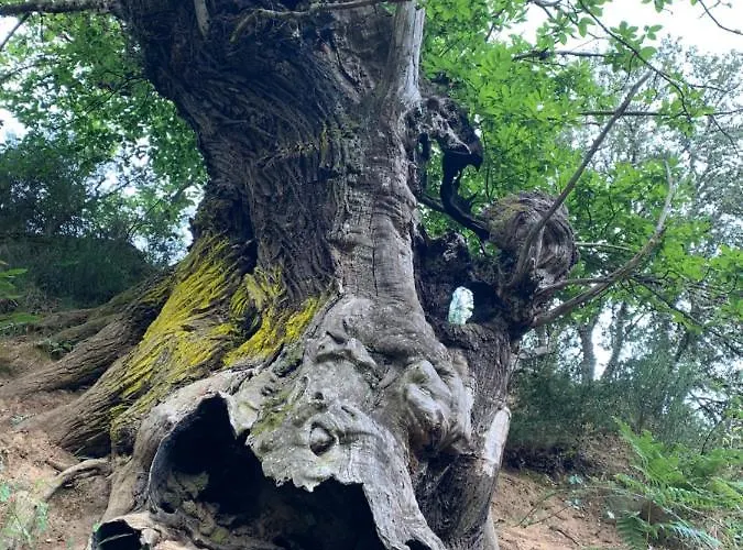 Apartament Medulas Covas (Pontevedra)